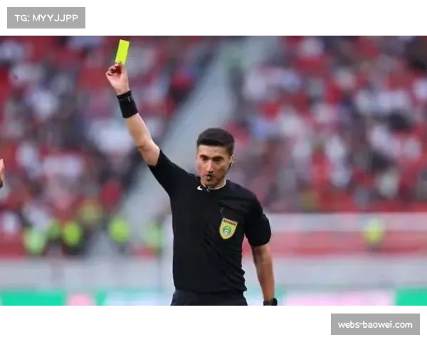 针对此前球迷冲突事件，德国足协公布追加处罚决定